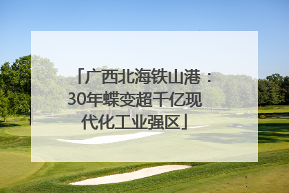 广西北海铁山港：30年蝶变超千亿现代化工业强区