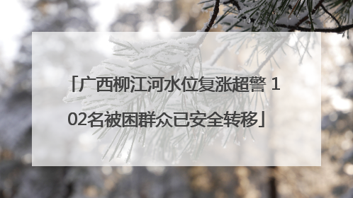 广西柳江河水位复涨超警 102名被困群众已安全转移