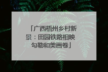 广西梧州乡村新景：田园铁路相映 勾勒和美画卷
