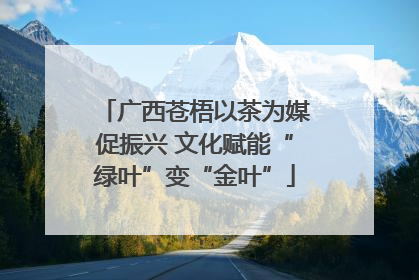 广西苍梧以茶为媒促振兴 文化赋能“绿叶”变“金叶”