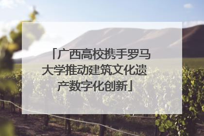 广西高校携手罗马大学推动建筑文化遗产数字化创新