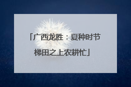 广西龙胜：夏种时节 梯田之上农耕忙