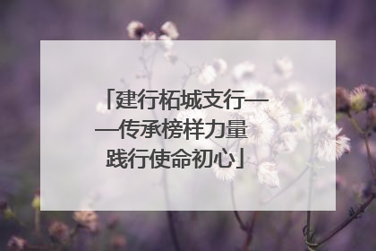 建行柘城支行——传承榜样力量 践行使命初心