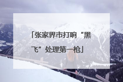 张家界市打响“黑飞”处理第一枪