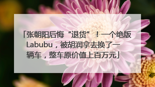 张朝阳后悔“退货”！一个绝版Labubu，被胡润拿去换了一辆车，整车原价值上百万元
