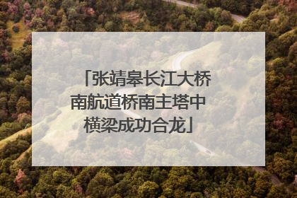 张靖皋长江大桥南航道桥南主塔中横梁成功合龙