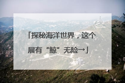 探秘海洋世界，这个展有“鲸”无险→