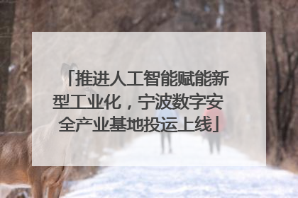 推进人工智能赋能新型工业化，宁波数字安全产业基地投运上线