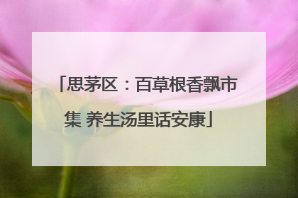 思茅区：百草根香飘市集 养生汤里话安康