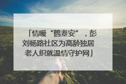 情暖“鹤耋安”，彭刘杨路社区为高龄独居老人织就温情守护网