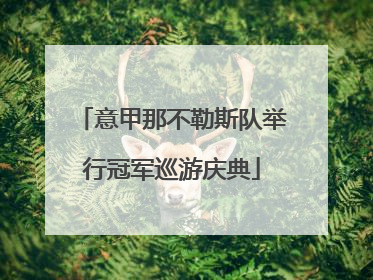 意甲那不勒斯队举行冠军巡游庆典