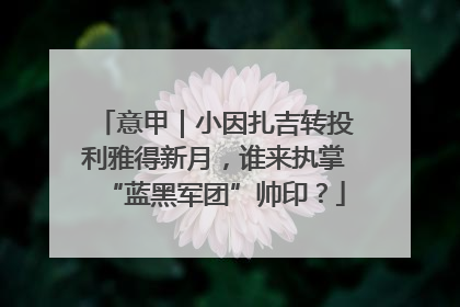 意甲｜小因扎吉转投利雅得新月，谁来执掌“蓝黑军团”帅印？