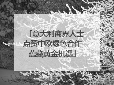 意大利商界人士点赞中欧绿色合作蕴藏黄金机遇