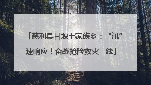 慈利县甘堰土家族乡：“汛”速响应！奋战抢险救灾一线