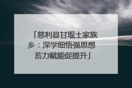 慈利县甘堰土家族乡：深学细悟强思想 蓄力赋能促提升