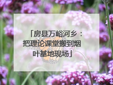 房县万峪河乡：把理论课堂搬到烟叶基地现场