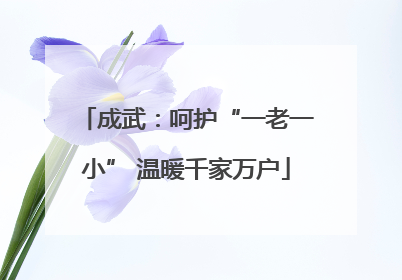 成武：呵护“一老一小” 温暖千家万户