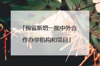 我省新增一批中外合作办学机构和项目