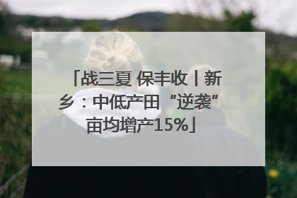 战三夏 保丰收丨新乡：中低产田“逆袭” 亩均增产15%