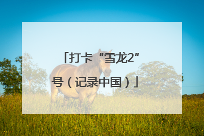 打卡“雪龙2”号（记录中国）