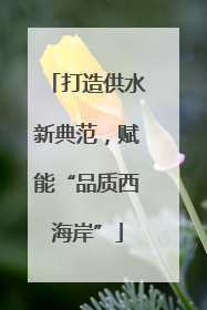 打造供水新典范，赋能“品质西海岸”