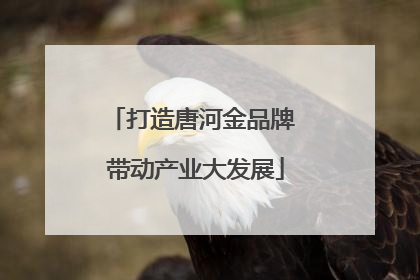 打造唐河金品牌 带动产业大发展