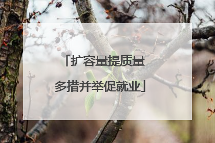 扩容量提质量 多措并举促就业
