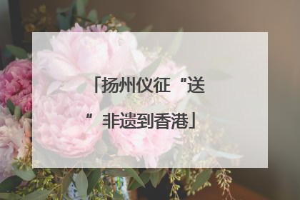 扬州仪征“送”非遗到香港
