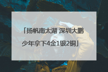 扬帆南太湖 深圳大鹏少年拿下4金1银2铜