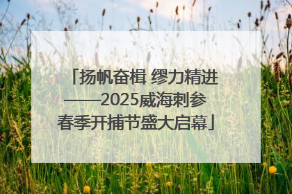 扬帆奋楫 缪力精进——2025威海刺参春季开捕节盛大启幕