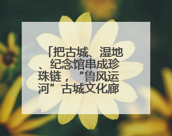 把古城、湿地、纪念馆串成珍珠链，“鲁风运河”古城文化廊道入选十大最美农村路