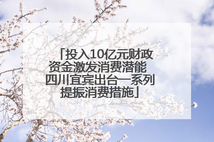 投入10亿元财政资金激发消费潜能 四川宜宾出台一系列提振消费措施