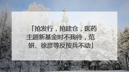 抢发行，抢建仓，医药主题新基金时不我待，范妍、徐彦等反按兵不动