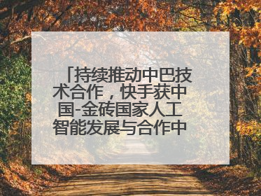 持续推动中巴技术合作，快手获中国-金砖国家人工智能发展与合作中心驻巴西成果转化中心授牌