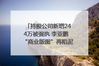 持股公司新增244万被强执 李亚鹏“商业版图”再陷泥潭？｜科技观察
