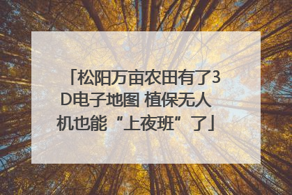 松阳万亩农田有了3D电子地图 植保无人机也能“上夜班”了