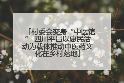 村委会变身“中医馆” 四川平昌以惠民活动为载体推动中医药文化在乡村落地