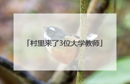 村里来了3位大学教师