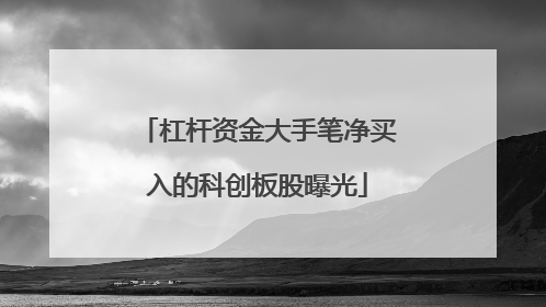 杠杆资金大手笔净买入的科创板股曝光