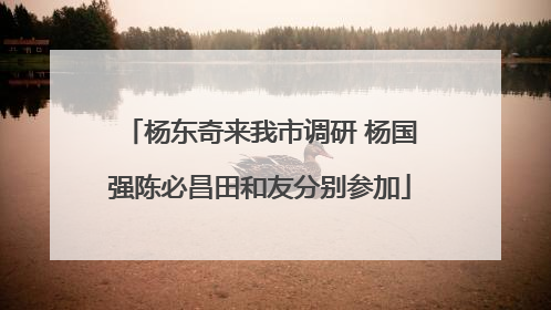 杨东奇来我市调研 杨国强陈必昌田和友分别参加