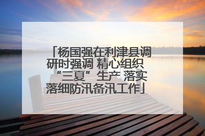 杨国强在利津县调研时强调 精心组织“三夏”生产 落实落细防汛备汛工作