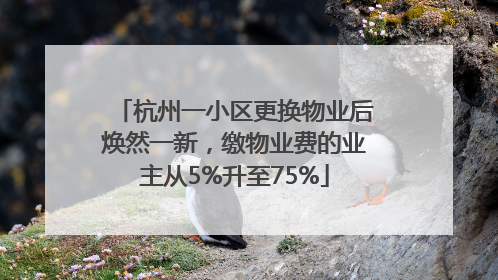 杭州一小区更换物业后焕然一新，缴物业费的业主从5%升至75%