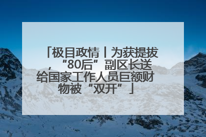 极目政情丨为获提拔，“80后”副区长送给国家工作人员巨额财物被“双开”