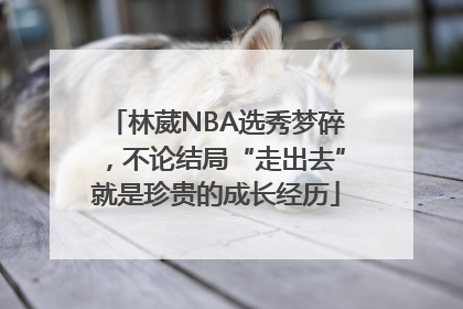 林葳NBA选秀梦碎，不论结局“走出去”就是珍贵的成长经历