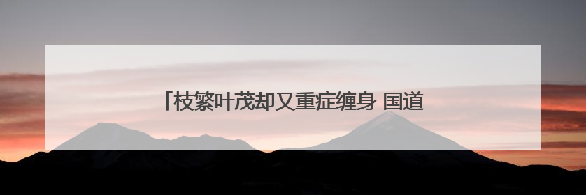 枝繁叶茂却又重症缠身 国道上白杨树树大招风“排危”忙