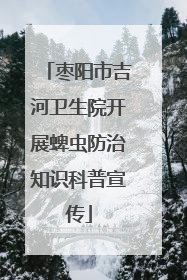枣阳市吉河卫生院开展蜱虫防治知识科普宣传