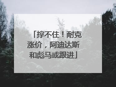 撑不住！耐克涨价，阿迪达斯和彪马或跟进