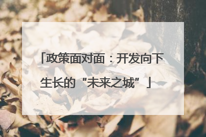 政策面对面：开发向下生长的“未来之城”
