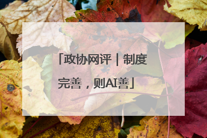 政协网评｜制度完善，则AI善