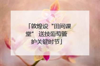 敦煌设“田间课堂” 送技葡萄管护关键时节